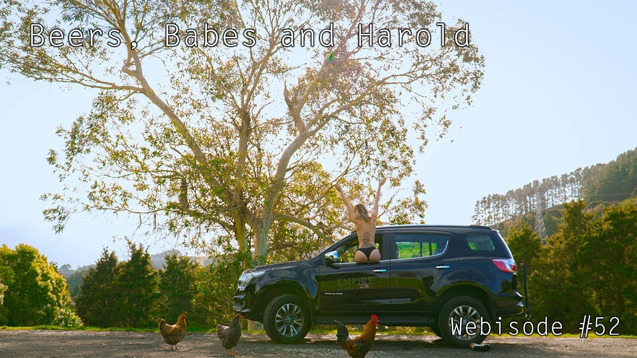 HAROLD BEERS visual data 4